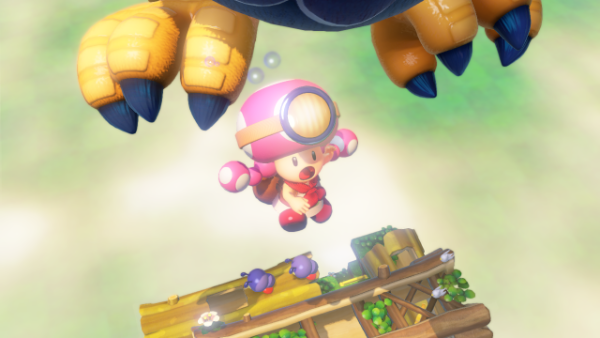 Toadette and Wingo